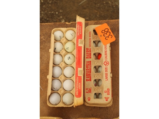 2 Dozen Golf Balls