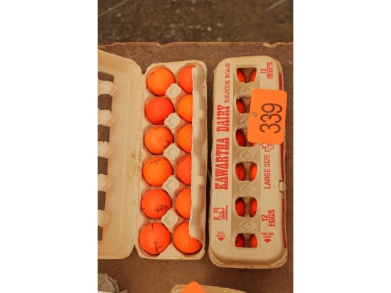 2 Dozen Golf Balls