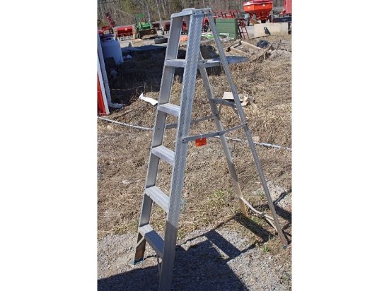 6' Ladder