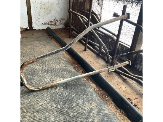 Free Stalls - 10 Pieces