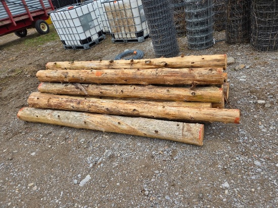 12 Cedar Posts