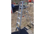 6' Ladder