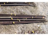 10 Steel Stakes