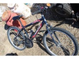 Supercycle Bike