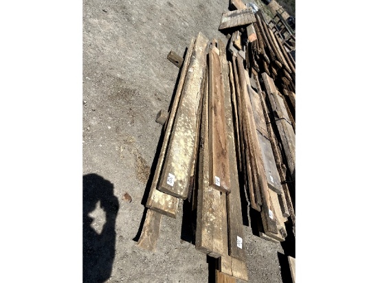 Live Edge Birch