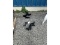6 Trailer Hitches