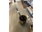 Clawfoot Brass Bucket, Etc.