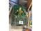 Action Figure