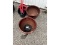 Large Planters