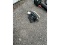 Mitre Saw