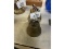 1878 Saignelegier Cow Bell