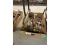 Box of Antique Tools