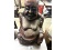 Buddha Statue