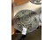James Smart Cast Iron Register - 15