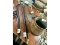 Carved Walking Sticks