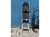 Step Stool and 5' Step Ladder