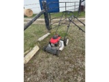 2 Lawnmowers - As Is