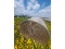 10  Hay Bales - 4x5 Net Wrapped 2024 Hay - Some Rain, Stored Outside