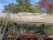 32' Douglas Sailboat - As Is, Where is and Tandem Trailer