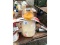 Oil Jug