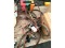 Torch, Hoses & Gauges