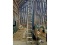 32' Featherlite Extension Ladder
