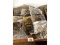 Table of New Fasteners
