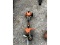 Stihl FS 94 R Trimmer With Hedge Trimmer