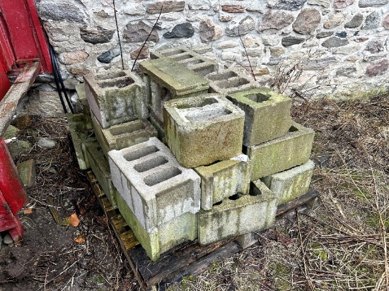 9" Concrete Blocks