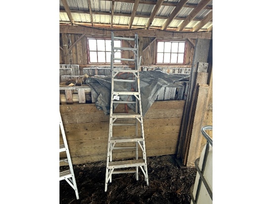 Combination Ladder