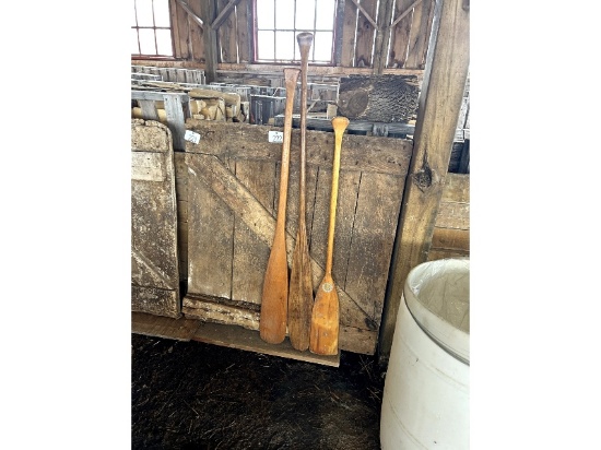 3 Paddles