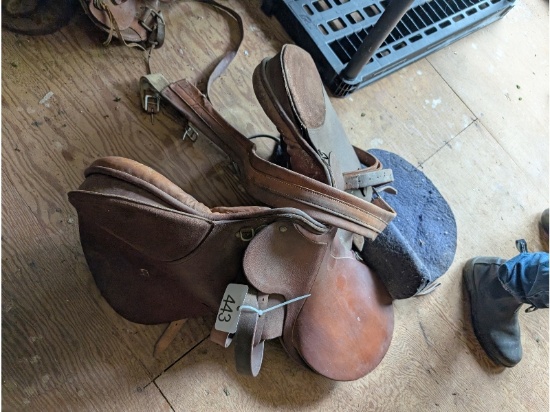 English Pony Saddle