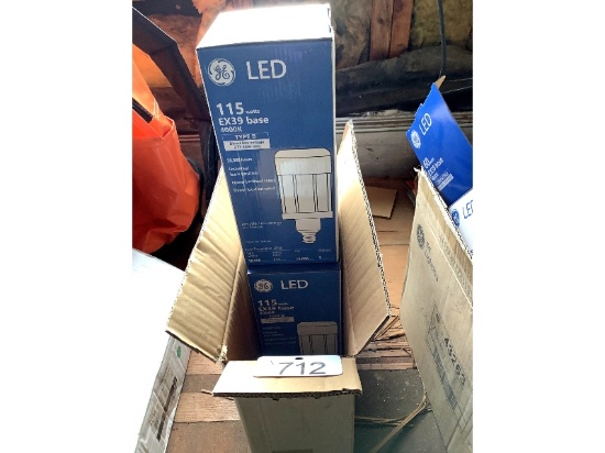 New 60 Watt EX39 LED Bulbs