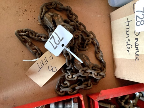 8' Chain 2 Hooks