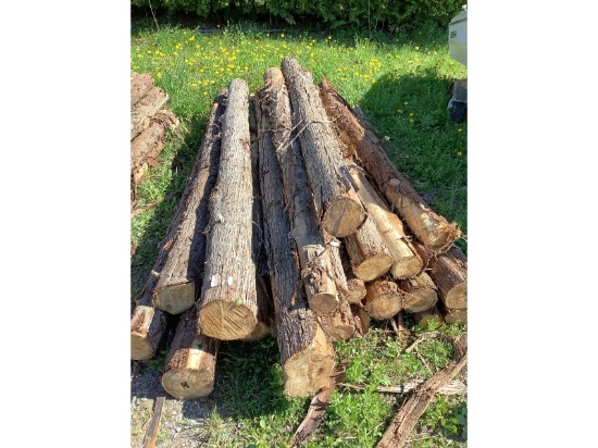 22 - 4-7" Cedar Posts 9' Long