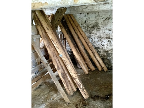 20 Cedar Posts