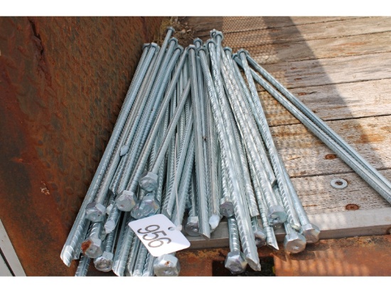 Tent Stakes