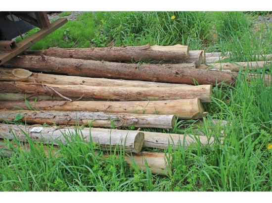 25 - 4" Cedar Posts