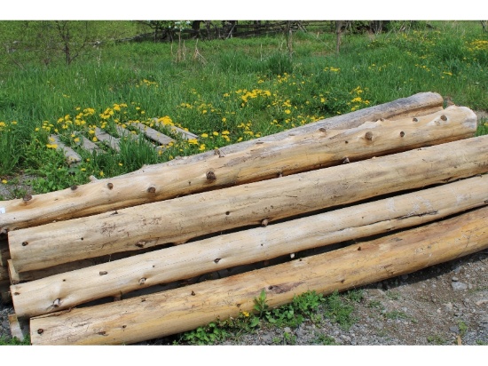 11 - 5-6" Cedar Posts
