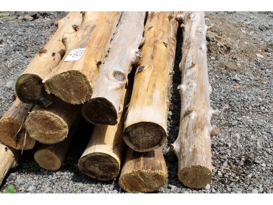 11 - 5-6" Cedar Posts