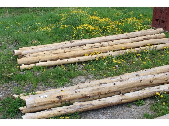 16 Cedar Poles - 12'