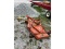 Becca C15 30Th Finishing Mower - 5' Cut
