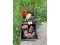 Snow Plow Lights, Etc.