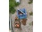 Chain Fall, Rope Winch, Etc.