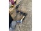 Minn Kota Trolling Motor