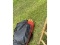 Hammock