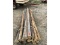 20 Cedar Posts