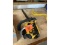 Mac 110 Chainsaw