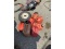 Wheelbarrow Wheels & Gas Cans