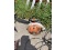 Stihl BR500 Backpack Blower - Runs